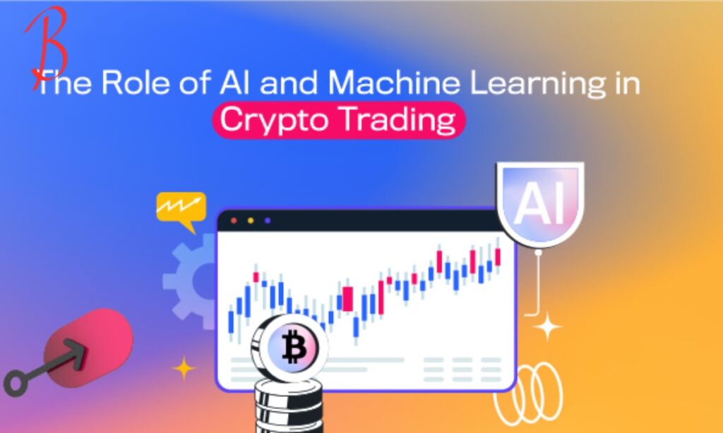 The Role of AI and Algorithms in Crypto30x.com