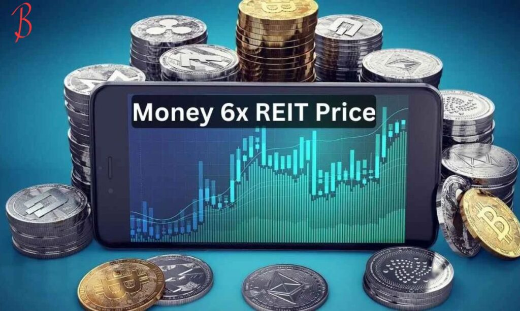 How Does Money 6X REIT Holdings Work