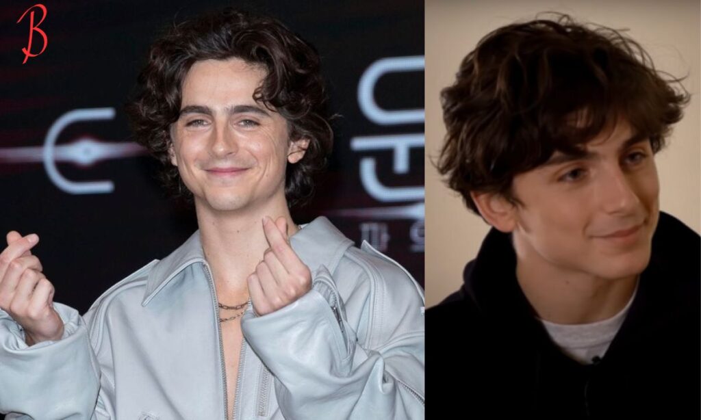 Timothée Chalamet’s Net Worth